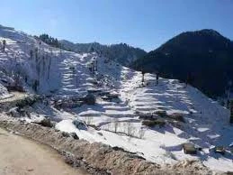 Saidu